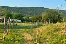 იყიდება მიწის ნაკვეთი, სასოფლო - სამეურნეო, გლდანი