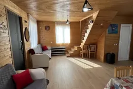 Daily Rent, 3 Room, Suburbs of Tbilisi, Nasaguri