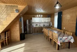 Daily Rent, 3 Room, Suburbs of Tbilisi, Nasaguri