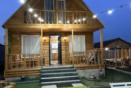 Daily Rent, 3 Room, Suburbs of Tbilisi, Nasaguri