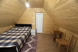 Daily Rent, 3 Room, Suburbs of Tbilisi, Nasaguri