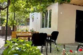 ქირავდება სახლი დღიურად, 1 ოთახიანი, ბორჯომი, ბორჯომი