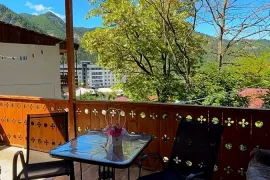 ქირავდება სახლი დღიურად, 1 ოთახიანი, ბორჯომი, ბორჯომი