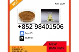 Efficient cas 5449-12-7 and 28578-16-7 BMK PMK powder in bulk supply 