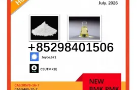 28578-16-7 New BMK 5449-12-7 / 1451-82-7 and 49851-31-2 Powder Factory 