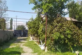 Daily Rent, 4 Room, Tbilisi, Lilo