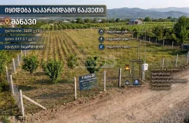 იყიდება მიწის ნაკვეთი, საინვესტიციო, მანავი