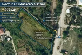 Land For Sale, For Investment, Manavi