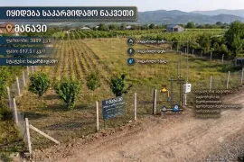 იყიდება მიწის ნაკვეთი, საინვესტიციო, მანავი