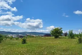 Продается Земля, Сельскохозяйственные, Базалети 