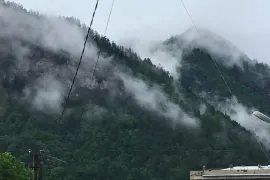 ქირავდება სახლი დღიურად, 1 ოთახიანი, ბორჯომი