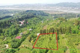 იყიდება მიწის ნაკვეთი, სასოფლო - სამეურნეო, თხილნარი