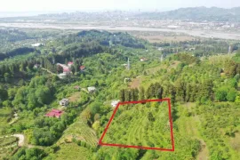 იყიდება მიწის ნაკვეთი, სასოფლო - სამეურნეო, თხილნარი