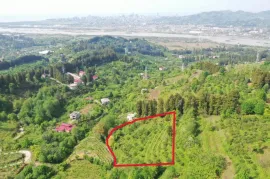 იყიდება მიწის ნაკვეთი, სასოფლო - სამეურნეო, თხილნარი