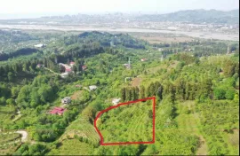 იყიდება მიწის ნაკვეთი, სასოფლო - სამეურნეო, თხილნარი