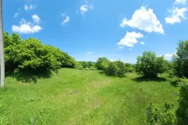 იყიდება მიწის ნაკვეთი, სასოფლო - სამეურნეო, წყლულეთი