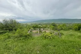 იყიდება მიწის ნაკვეთი, სასოფლო - სამეურნეო, ოკამი 