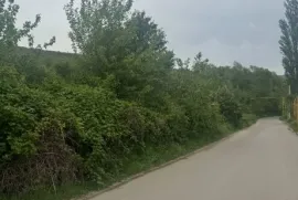იყიდება მიწის ნაკვეთი, სასოფლო - სამეურნეო, ოკამი 