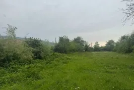 იყიდება მიწის ნაკვეთი, სასოფლო - სამეურნეო, ოკამი 