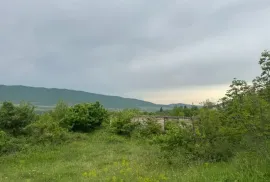 იყიდება მიწის ნაკვეთი, სასოფლო - სამეურნეო, ოკამი 