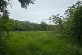 იყიდება მიწის ნაკვეთი, სასოფლო - სამეურნეო, ოკამი 