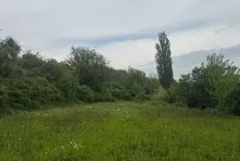 იყიდება მიწის ნაკვეთი, სასოფლო - სამეურნეო, ოკამი 