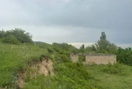 იყიდება მიწის ნაკვეთი, სასოფლო - სამეურნეო, ოკამი 