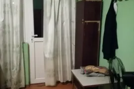 Аренда Дома, 1 Kомнатная, Тбилиси, Надзаладеви