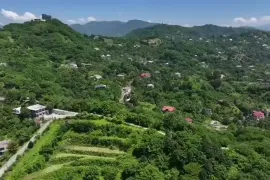 იყიდება მიწის ნაკვეთი, სასოფლო - სამეურნეო