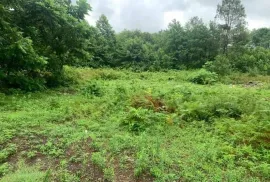Land For Sale, Agricultural, Shekvetili