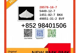 cas 5449-12-7 / 28578-16-7 BMK PMK oil powder certificated with best quote