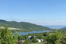 იყიდება მიწის ნაკვეთი, სასოფლო - სამეურნეო, ქედელობა