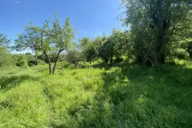 იყიდება მიწის ნაკვეთი, სასოფლო - სამეურნეო, ქედელობა