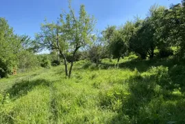 იყიდება მიწის ნაკვეთი, სასოფლო - სამეურნეო, ქედელობა