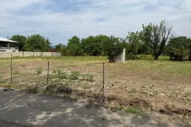 იყიდება მიწის ნაკვეთი, სასოფლო - სამეურნეო