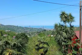 Land For Sale, Agricultural, Akhalsheni