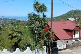 Land For Sale, Agricultural, Akhalsheni