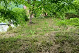 Land For Sale, Agricultural, Akhalsheni