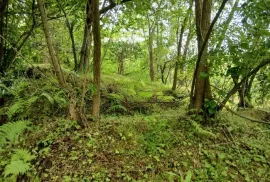 Land For Sale, Agricultural, Akhalsheni