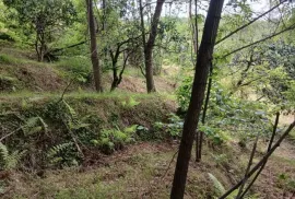 Land For Sale, Agricultural, Akhalsheni
