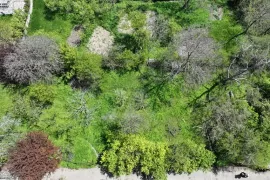 Land For Sale, Agricultural, Tskneti