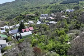 Land For Sale, Agricultural, Tskneti