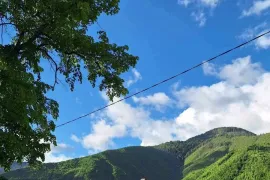 ქირავდება სახლი დღიურად, 3 ოთახიანი, ბორჯომი, ცემი