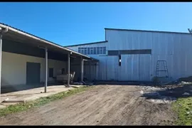 For Sale , Warehouse, Disveli