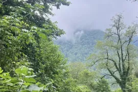 Land For Sale, Agricultural, Khelvachauri