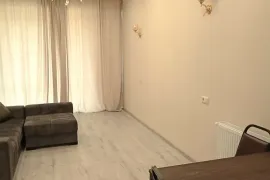 Аренда, 2 Kомнатная, Новостройка, Тбилиси, Ортачала
