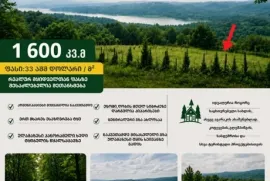 Land For Sale, Non Agricultural, Akhalsopeli