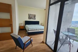 ქირავდება ბინა, 5 ოთახიანი, ახალი აშენებული, თბილისი, ლისის ტბა