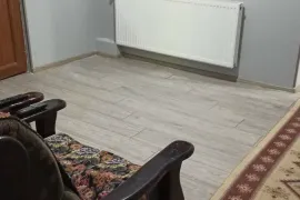 ქირავდება სახლი დღიურად, 16 ოთახიანი, ბორჯომი, ბაკურიანი