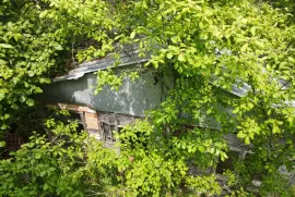 Land For Sale, Agricultural, Dudaurebi 